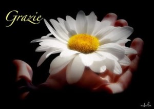 GrazieconmargheritanellamanoA