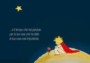 3280209c0ed559d541e946c8d203546f