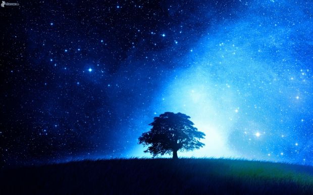albero-solitario,-siluetta-dalbero,-cielo-stellato,-bagliore-209630.jpg