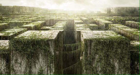 16473086_10208620165046116_7464922134330557855_n