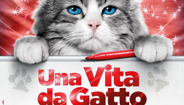 una-vita-da-gatto.jpg